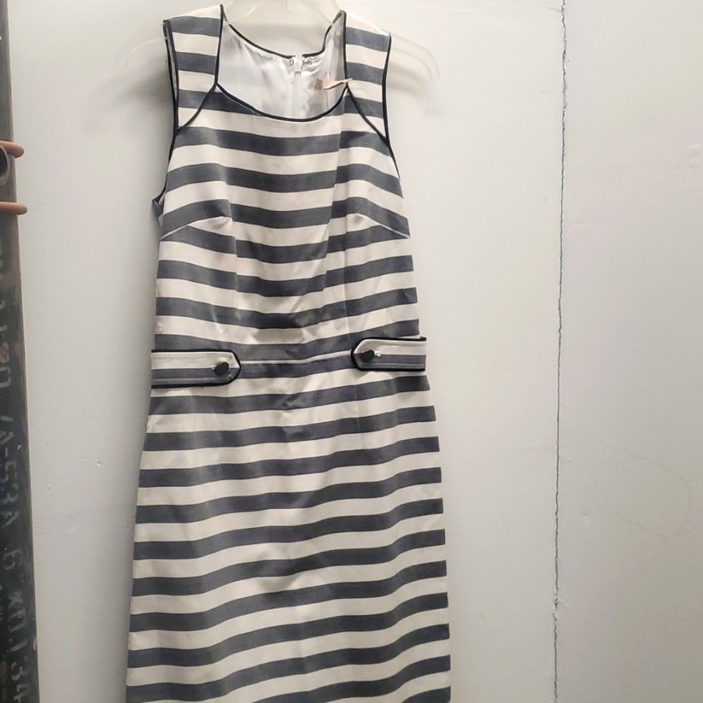 Banana Republic Women’s Size 4 Gray White Striped Sleeveless Sheath Dress